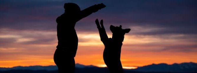 owner and dog standing up in sunset - coping with pet loss